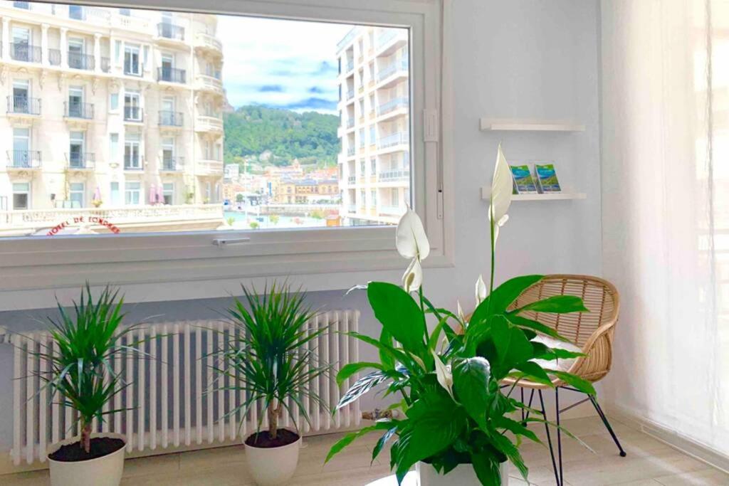 New Gorgeous Central Apartment - Beachfront - 3 Bd سان سيباستيان المظهر الخارجي الصورة